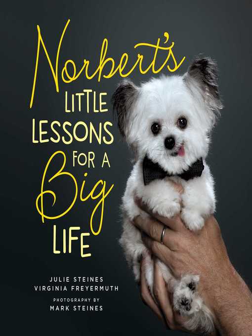 Title details for Norbert's Little Lessons for a Big Life by Julie Steines - Available
